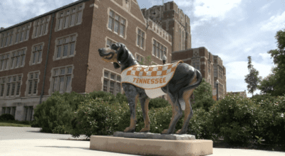 Statue of a dog wearing a 